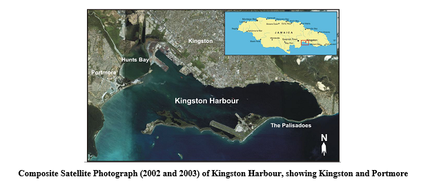Career Development: Examining Environmental Problems of the Kingston Harbour